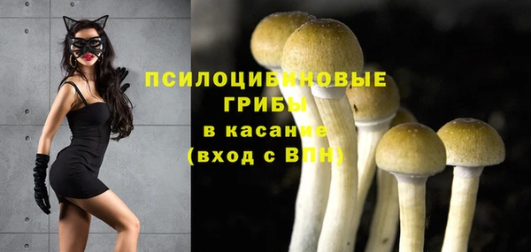круглые Осинники