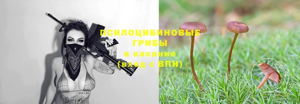 не бодяженный Осташков