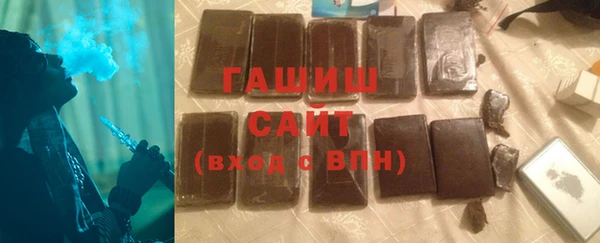 гашик Пестово