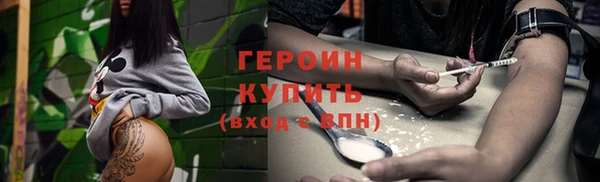 гашик Пестово