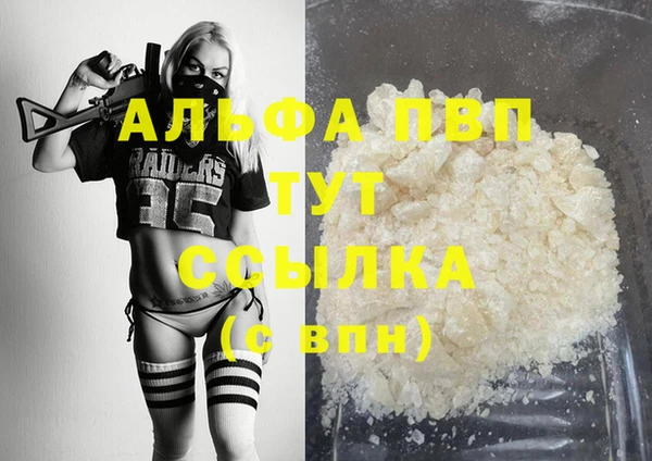 гашик Пестово