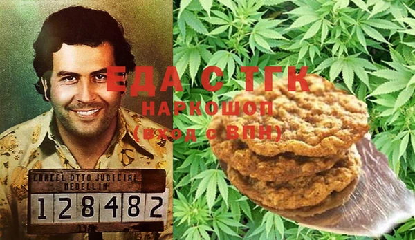 гашик Пестово