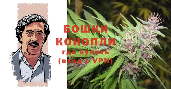 индика Остров