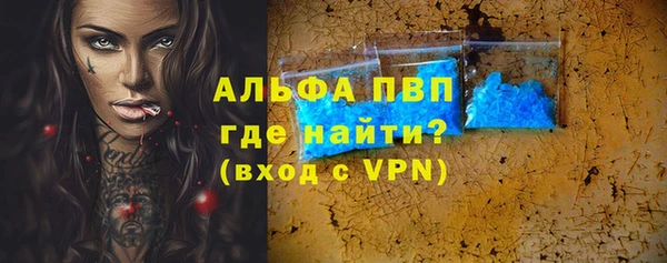 гашик Пестово
