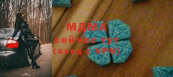 гашик Пестово
