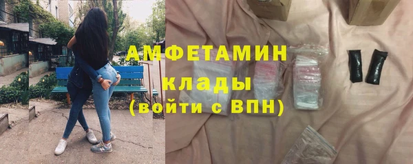 гашик Пестово