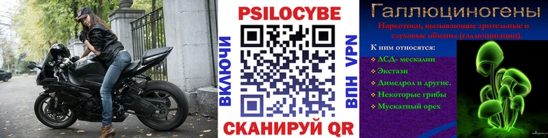 Галлюциногенные грибы Psilocybe Хабаровск