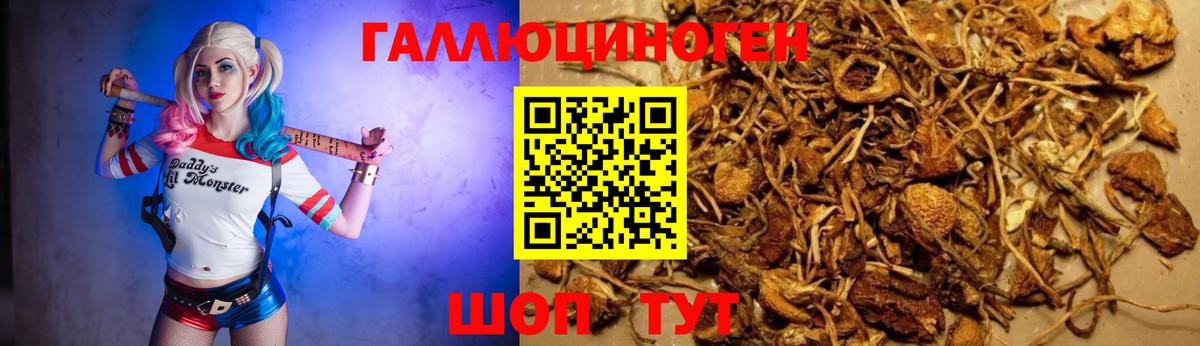 APVP Хабаровск