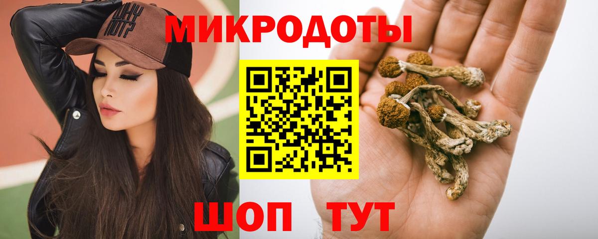 Галлюциногенные грибы MAGIC MUSHROOMS  Галлюциногенные грибы Psilocybe  Хабаровск  Вход с VPN 